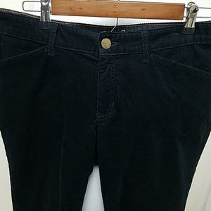 EDDIE BAUER CORDUROY PANT